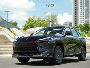 2026款 星海X5 530领航版