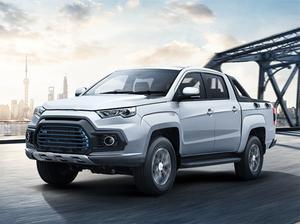 2019款 域虎新能源 4x2 LX（M1类）