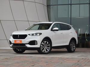 2019款 WEY VV6 2.0T 两驱豪华型 国VI