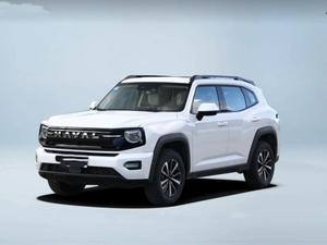 2026款 哈弗大狗 PLUS 2.0T 四驱潮野版