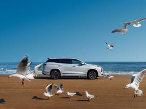 2025款 捷途山海L9 1.5TD 2DHT 豪华版 7座