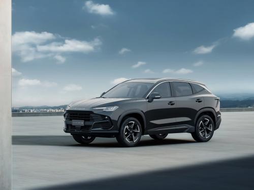 2026款 捷途大圣 1.5T-6DCT 精英版