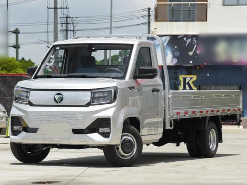 2025款 祥菱V5 EV 65.66kWh 后双胎厢式长货箱亿纬