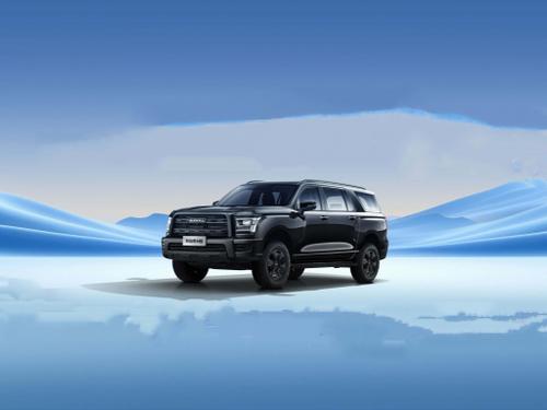 2025款 哈弗H5 2.0T自动四驱领英版 柴油