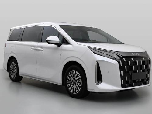 2025款 比亚迪M9 1060领航版