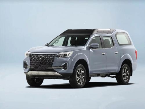 2025款 帕拉索 2.0T 手动两驱智尊型