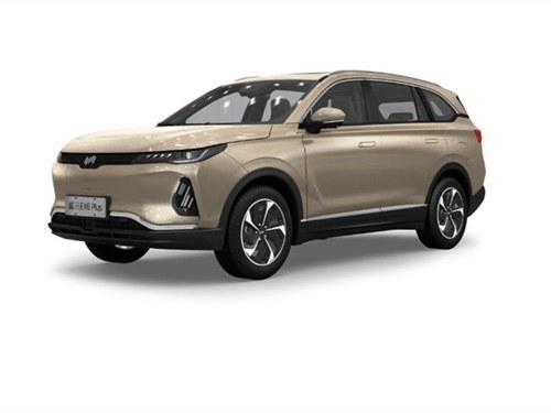 2020款 威马EX6 Plus 400极地版