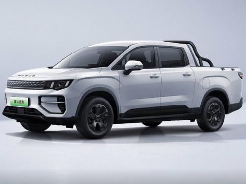 2025款 雷达金刚 430km 两驱长箱 商务型